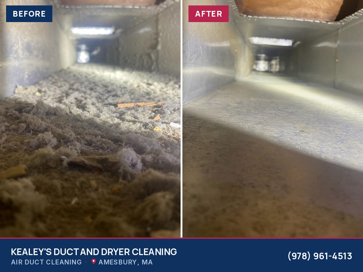 Upfront Pricing and Before-and-After Photo Proof