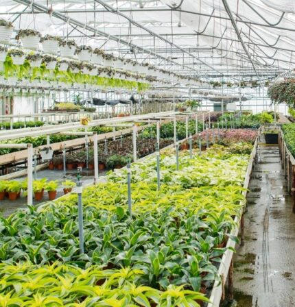 The Importance of Earth Anchors in Horticulture