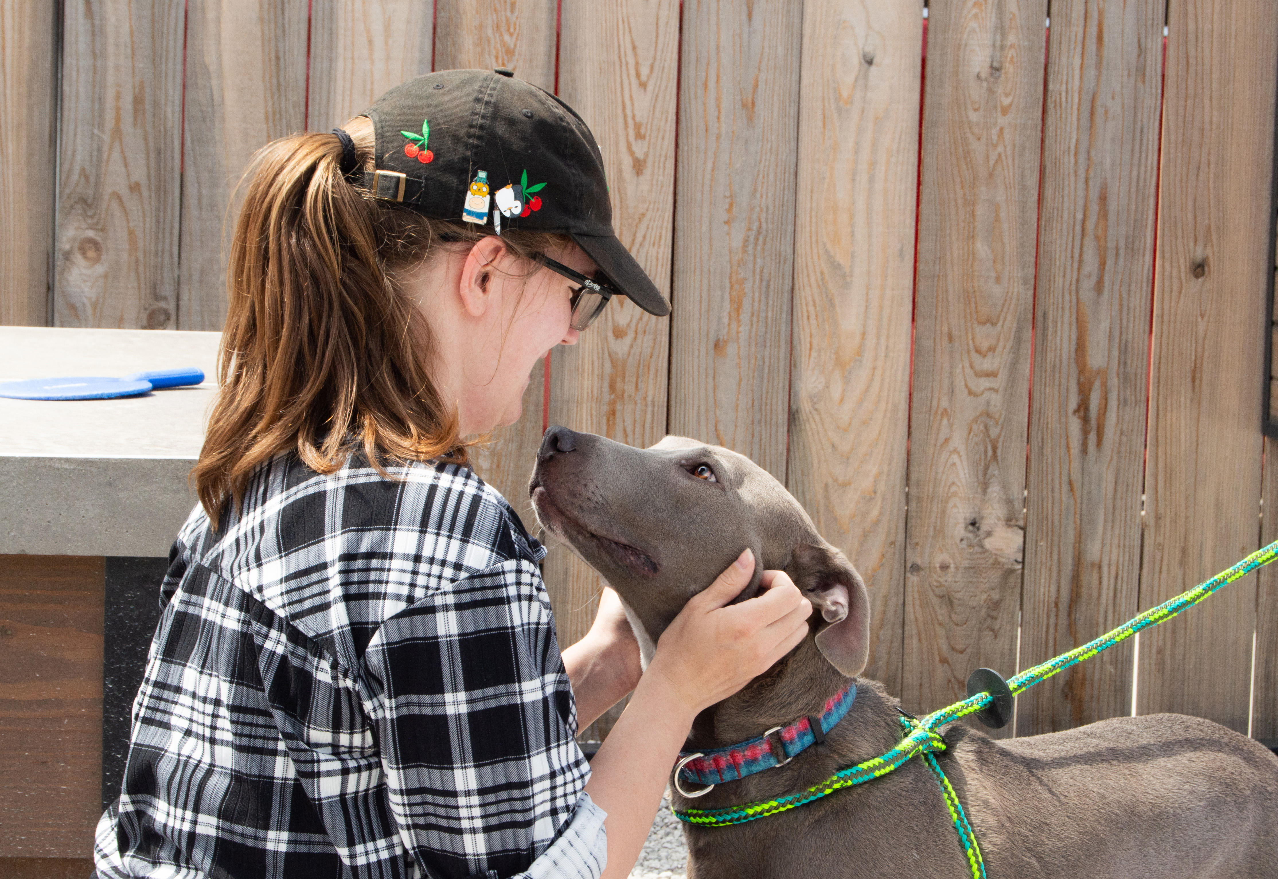 Dog-Friendly Patio Vibes