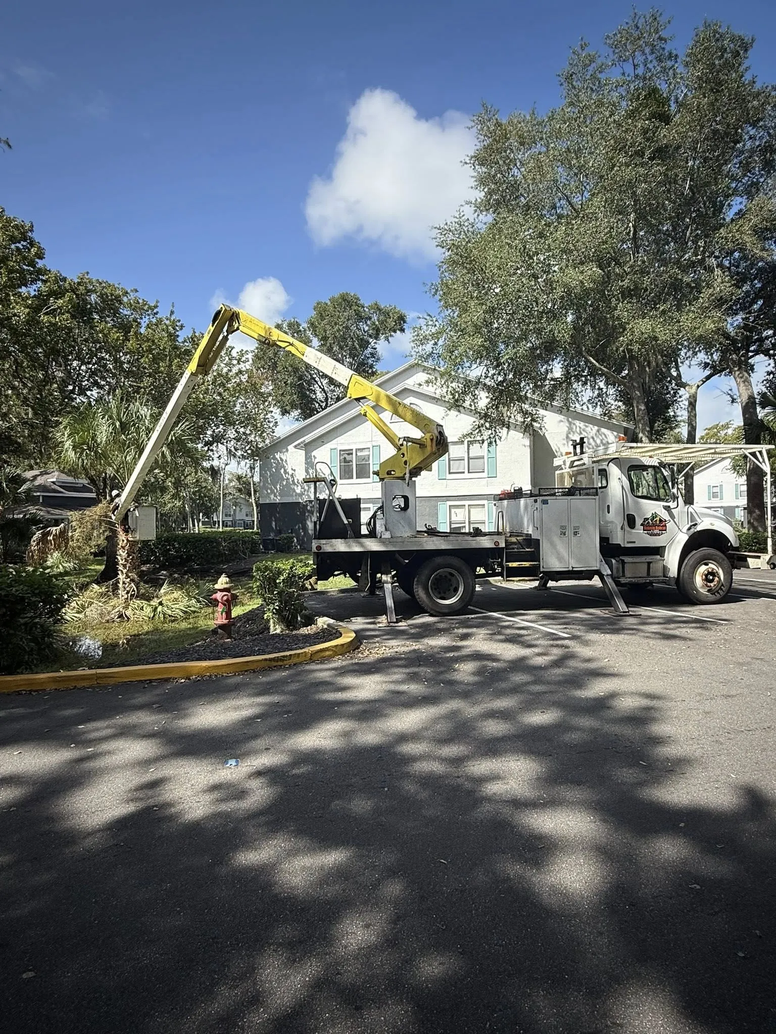 Professional Tree Trimming Services in DeLand, FL