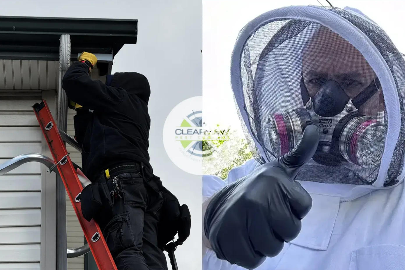 Emergency Pest Control and Prevention Services