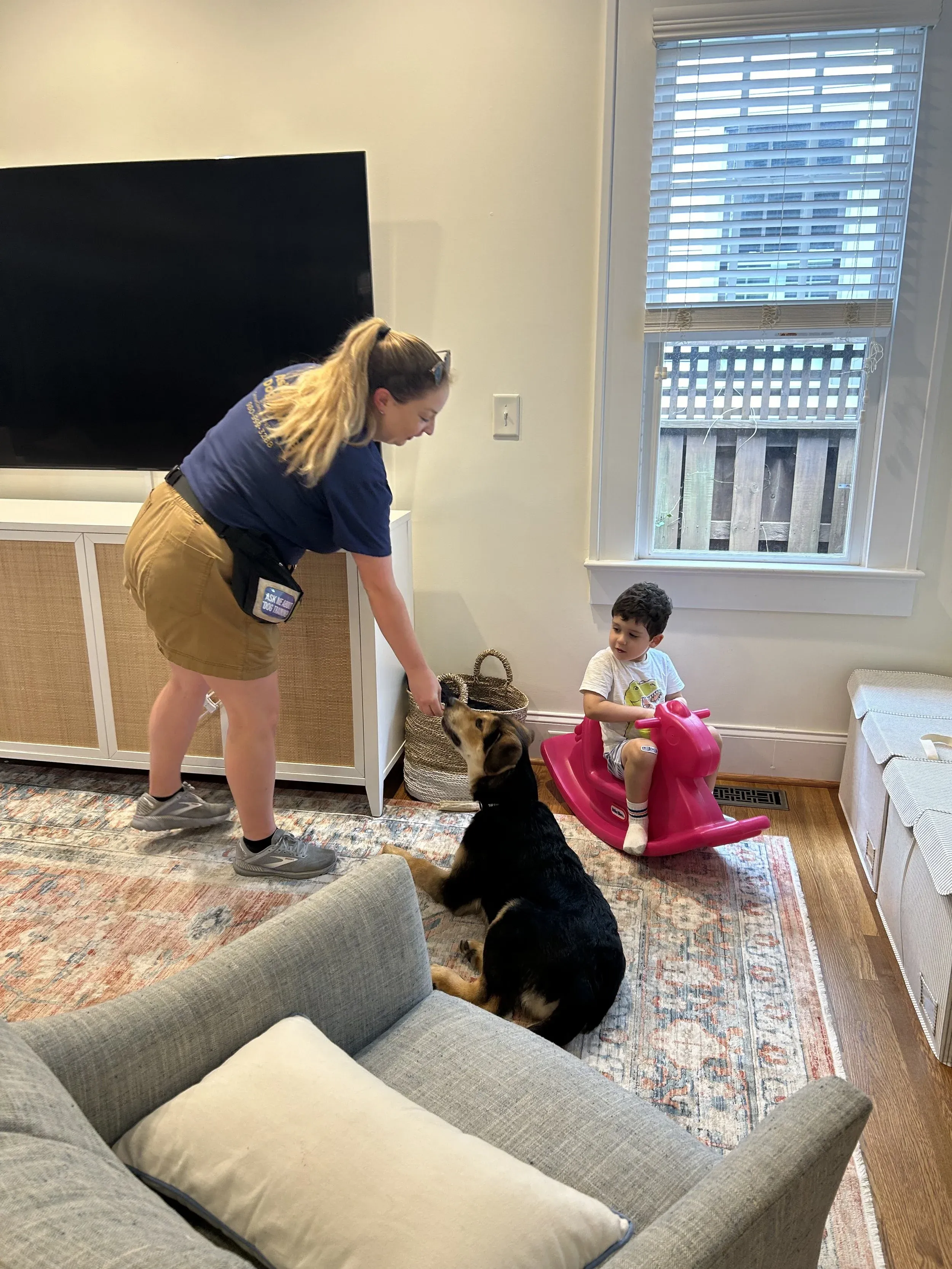 Behavior Modification Programs