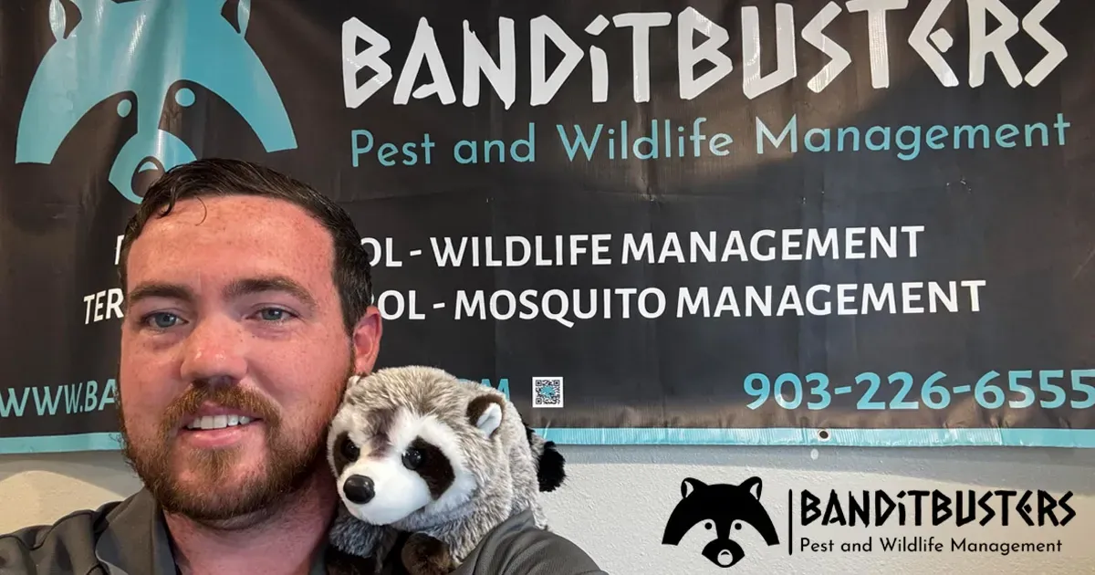 Emergency Pest Control Response