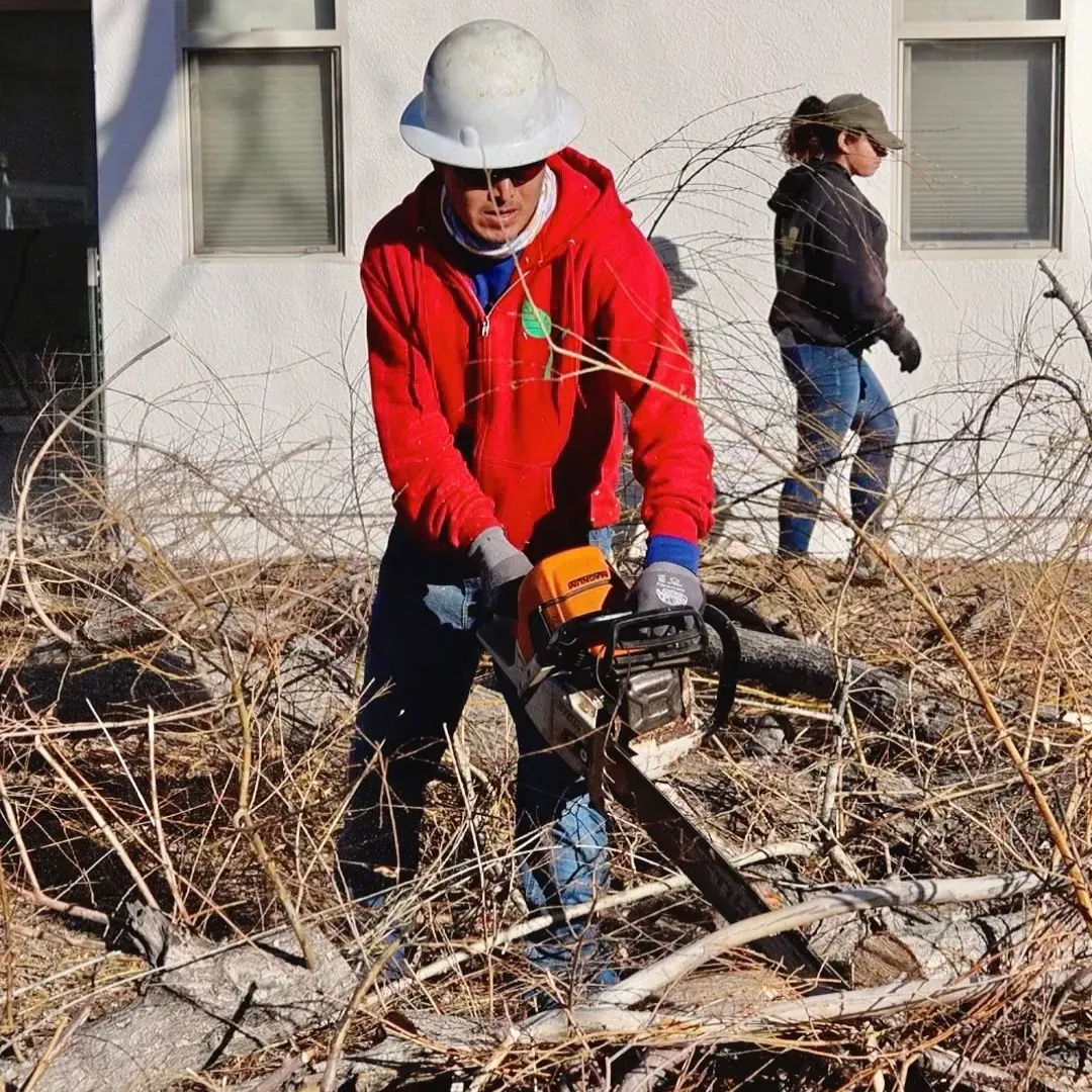 Comprehending Firewise Landscaping