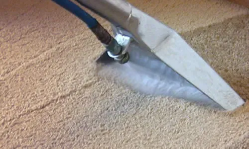 Green Carpet, Upholstery & Floors: Unwavering Cleanliness