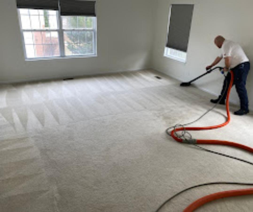 Benefits of Professional Upholstery Cleaning in Forest Lake