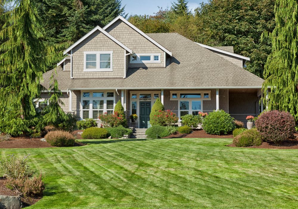 Custom Landscape Design