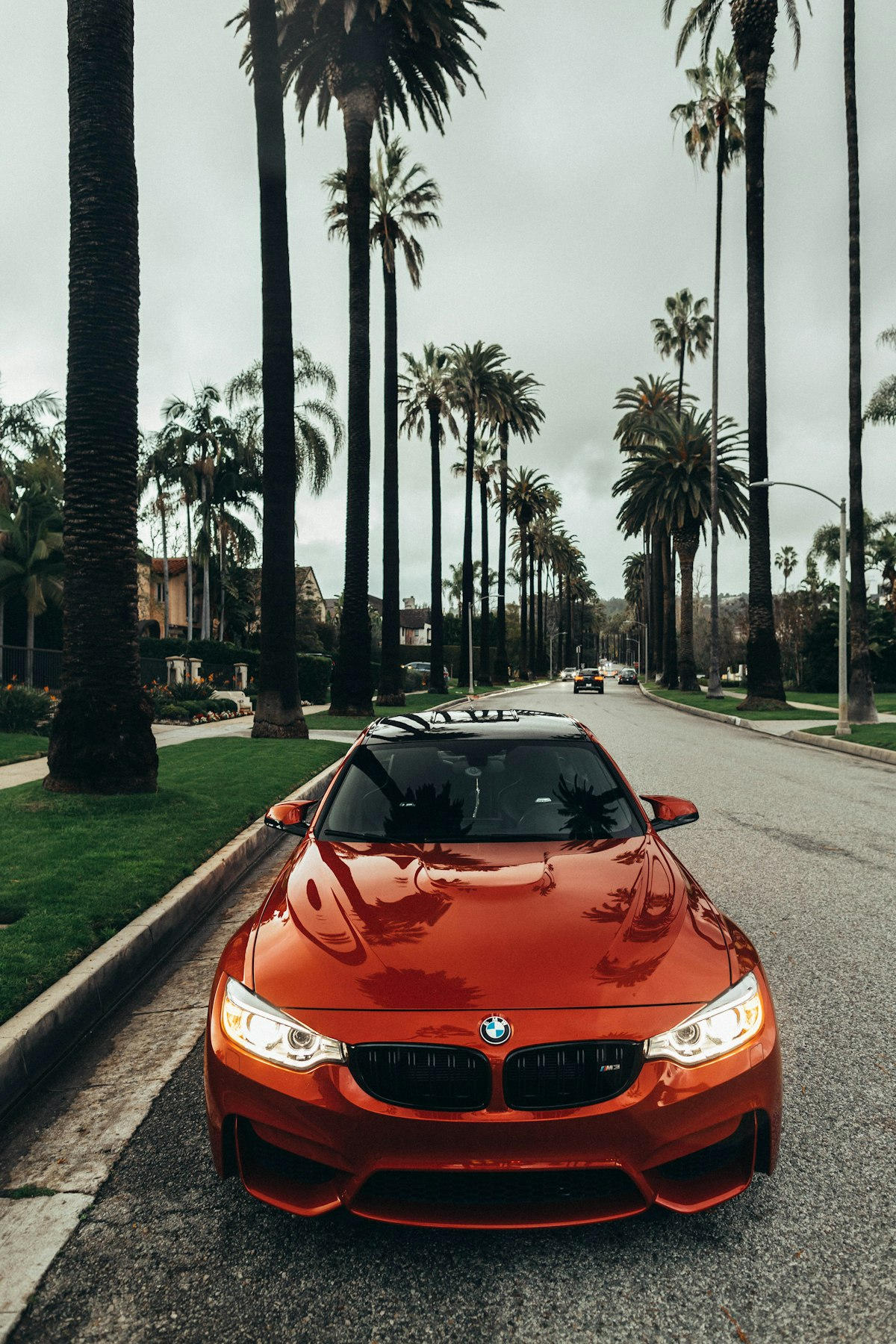 Why Choose Phoenix Travel?