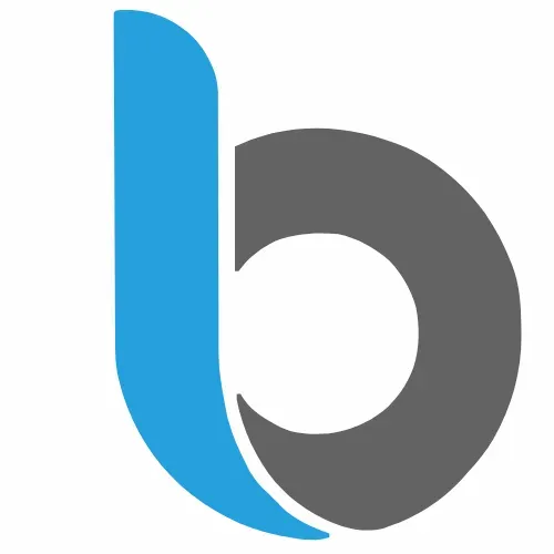 Risk Mitigation and Dispute Resolution