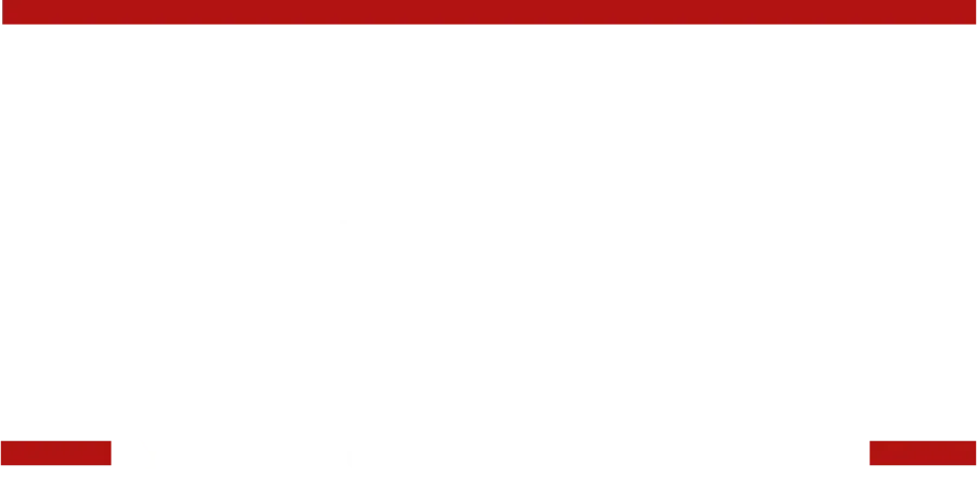 Professional Legal Guidance