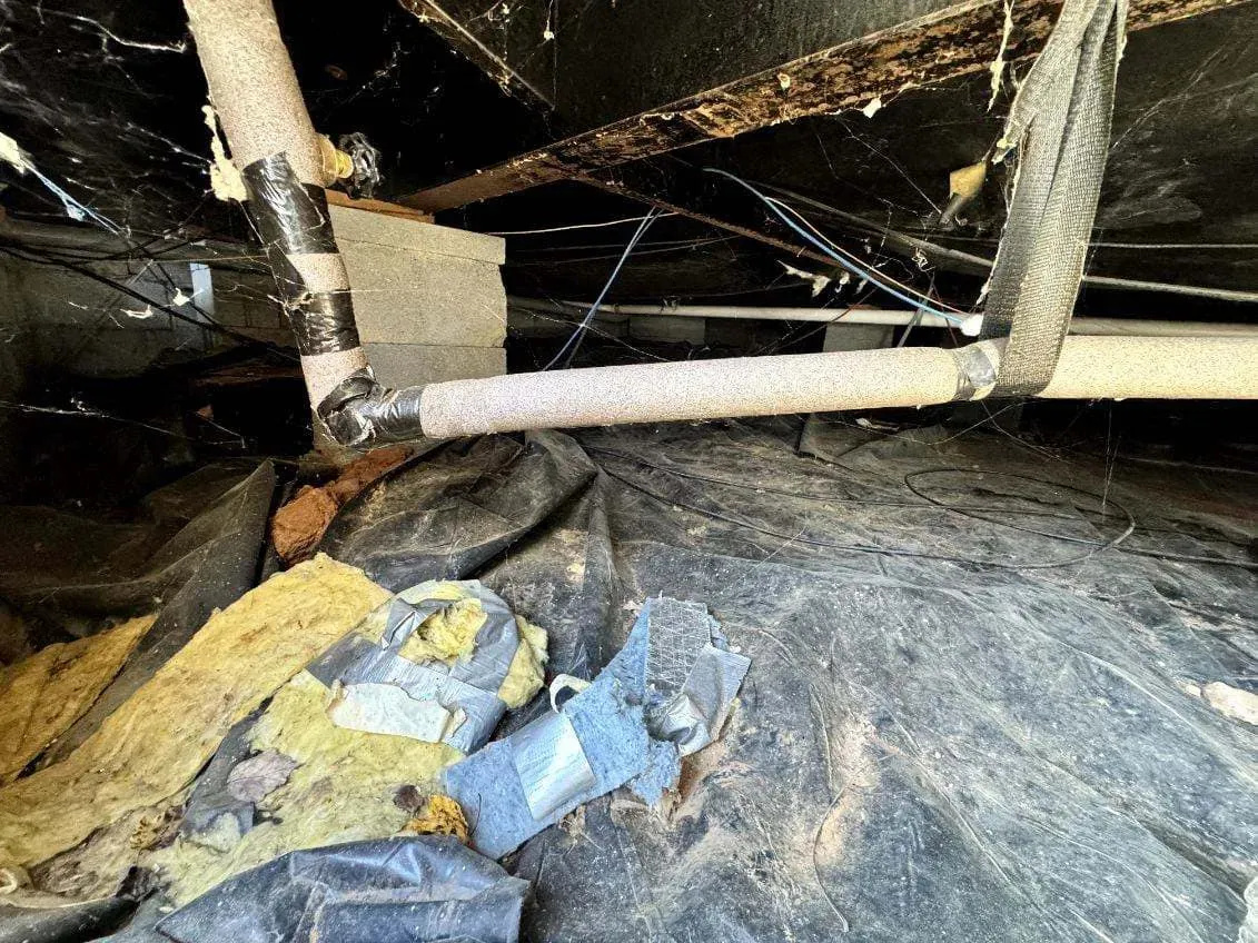 Our All-Encompassing Water Damage Services