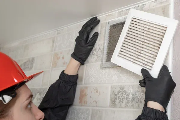 Mold Remediation and Indoor Air Quality Restoration