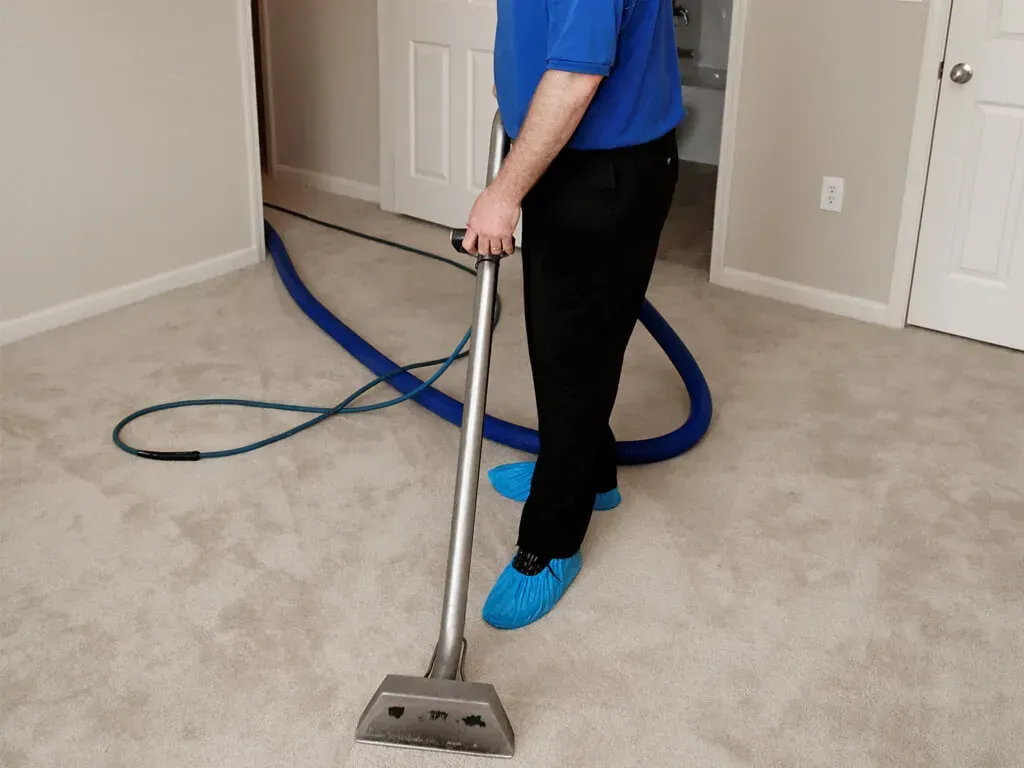 Expert Home Carpet Care Serving Northern Virginia