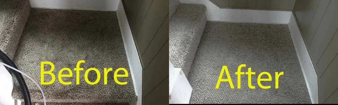 Revitalize Your Carpets with Expert Cleaning