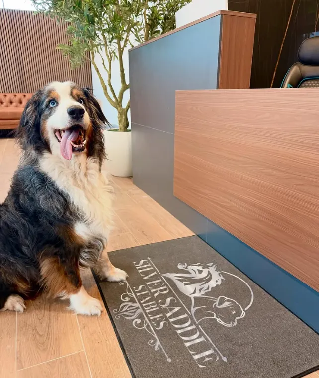 Welcome to Silver Saddle Pet Resort