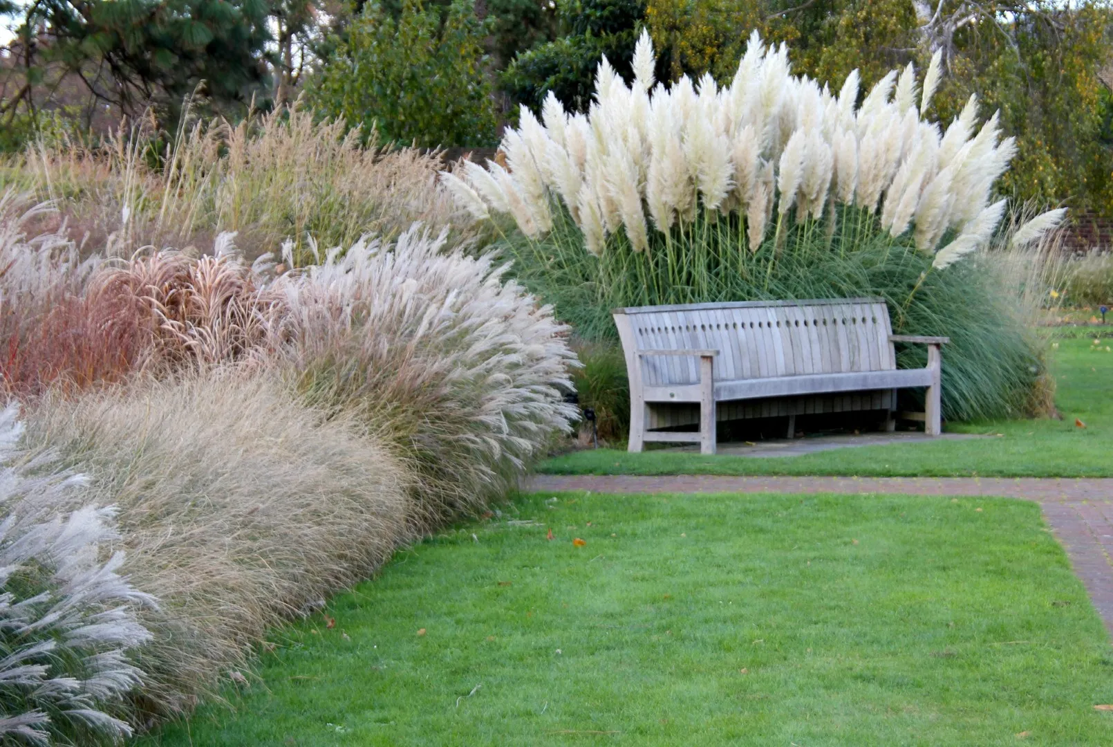 Garden design with ornamental grasses