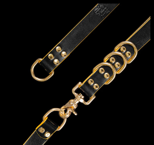 Expertise in Our Spiked Collar Production