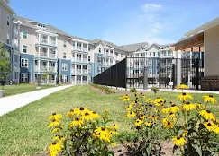 Independent Living for the Modern Senior