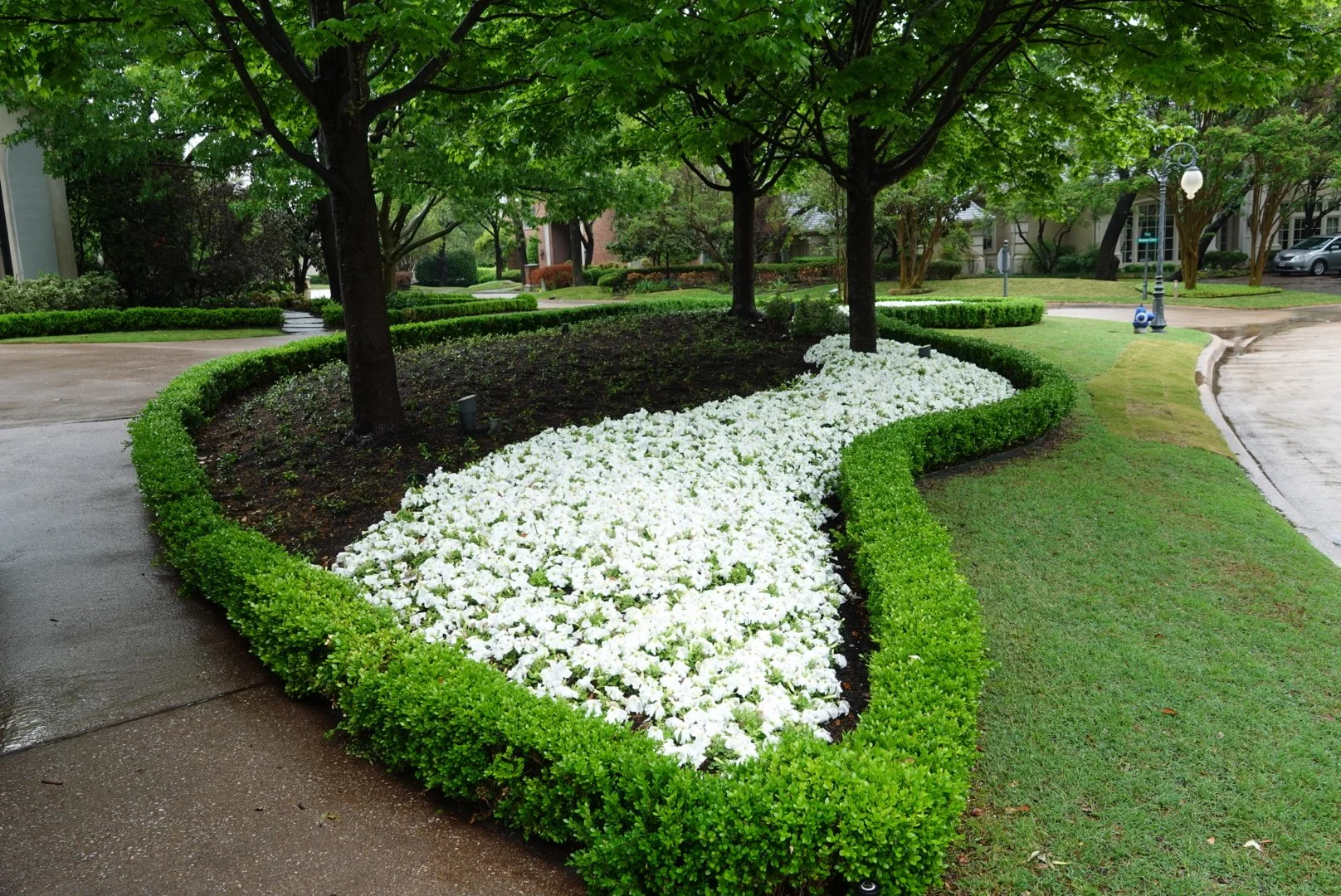 Expert Tips for Landscape Maintenance