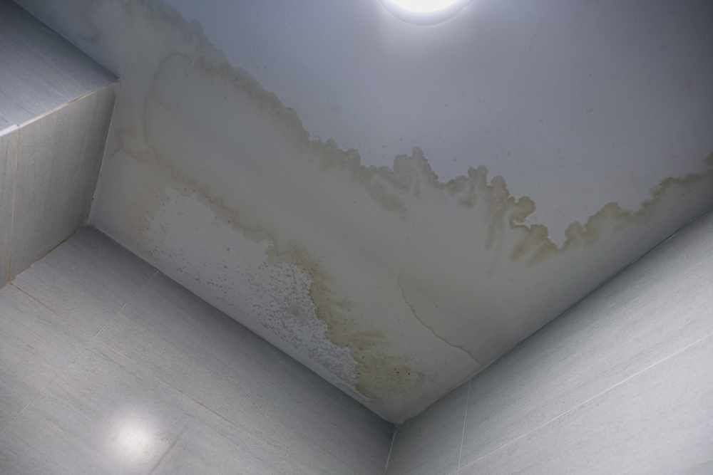 Large, yellowish-brown water spots on ceiling panels in a bathroom indicating significant moisture accumulation from a plumbing or roof leak.