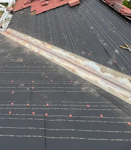 View of a durable metal residential roof in the Inland Empire with mountains in background