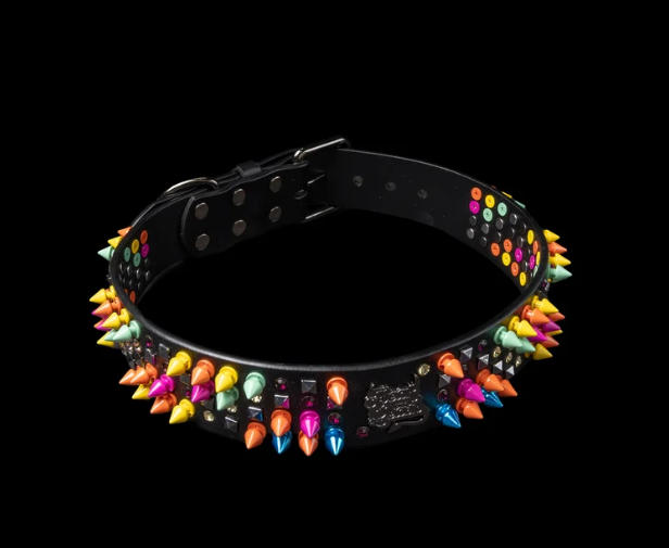 Finding the Right Fit for Your Dog's Collar