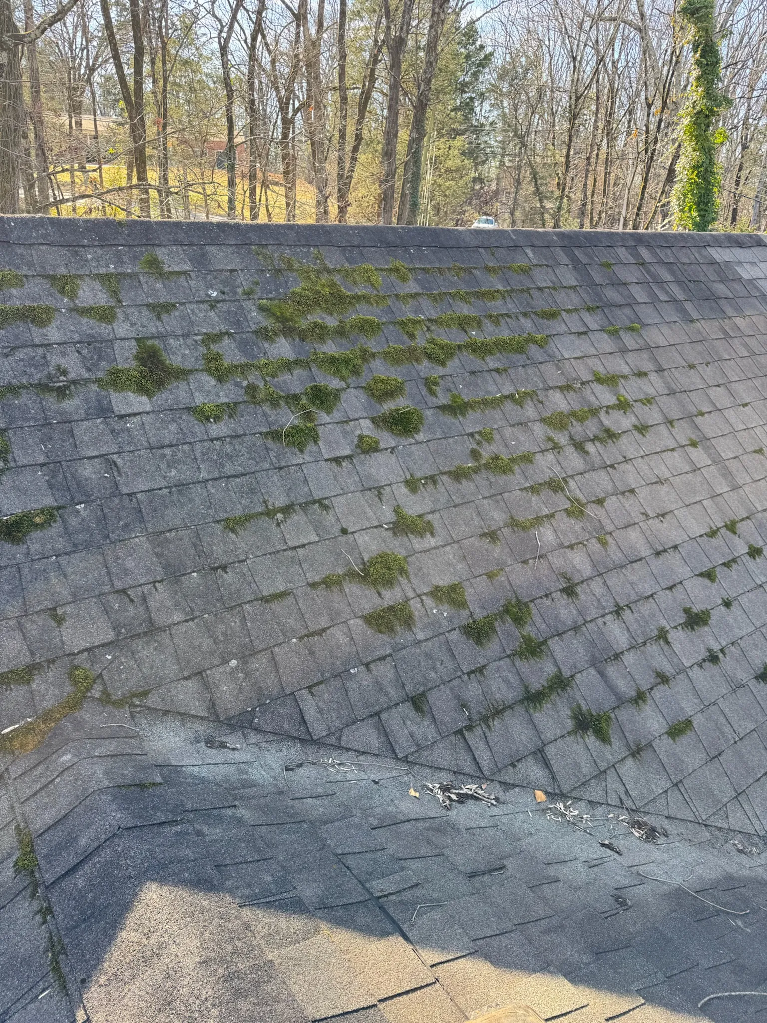 Window Replacement Solutions in Madison Alabama