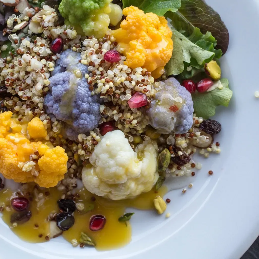 Stylish presentation of various specialized diet meal plans on plates