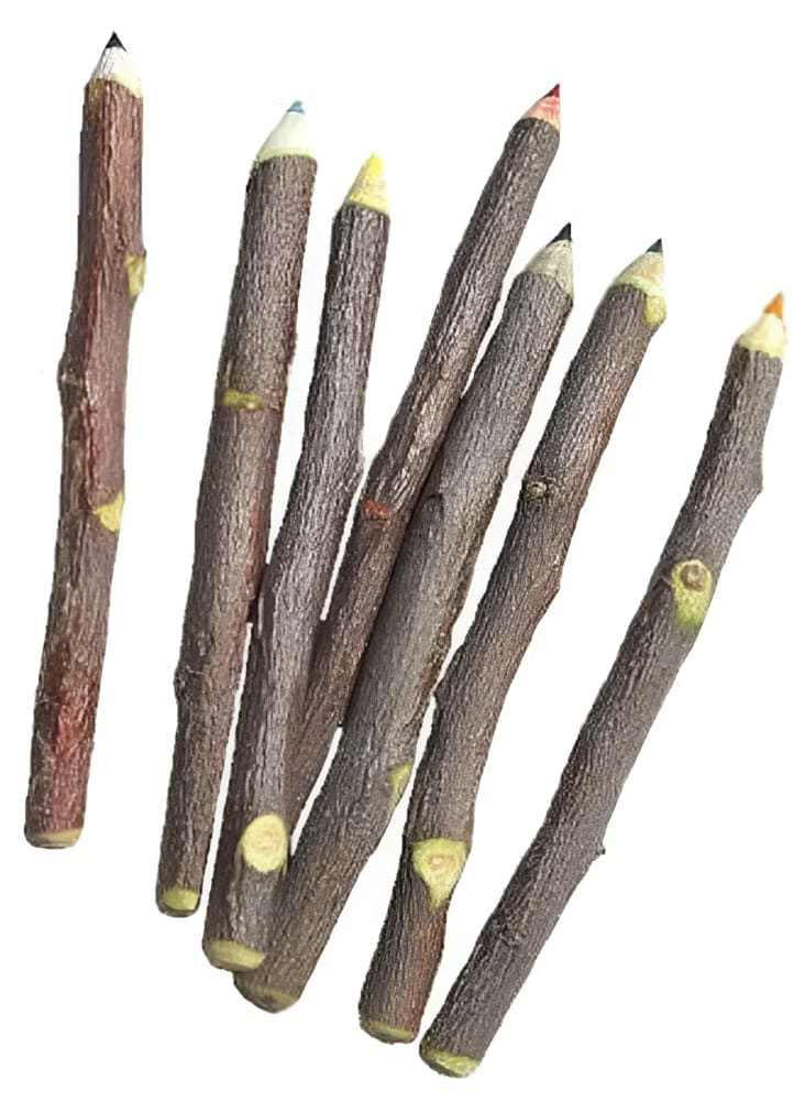 The Art of Crafting Twig Pencils