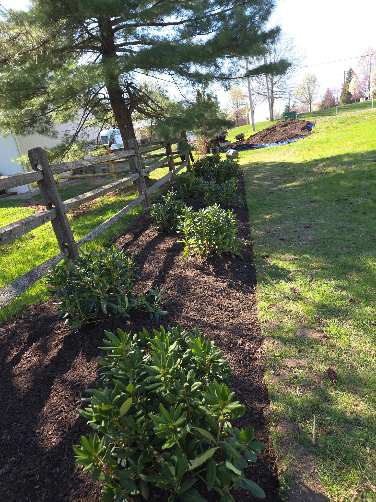 Personalized Design Solutions for Your Outdoor Space