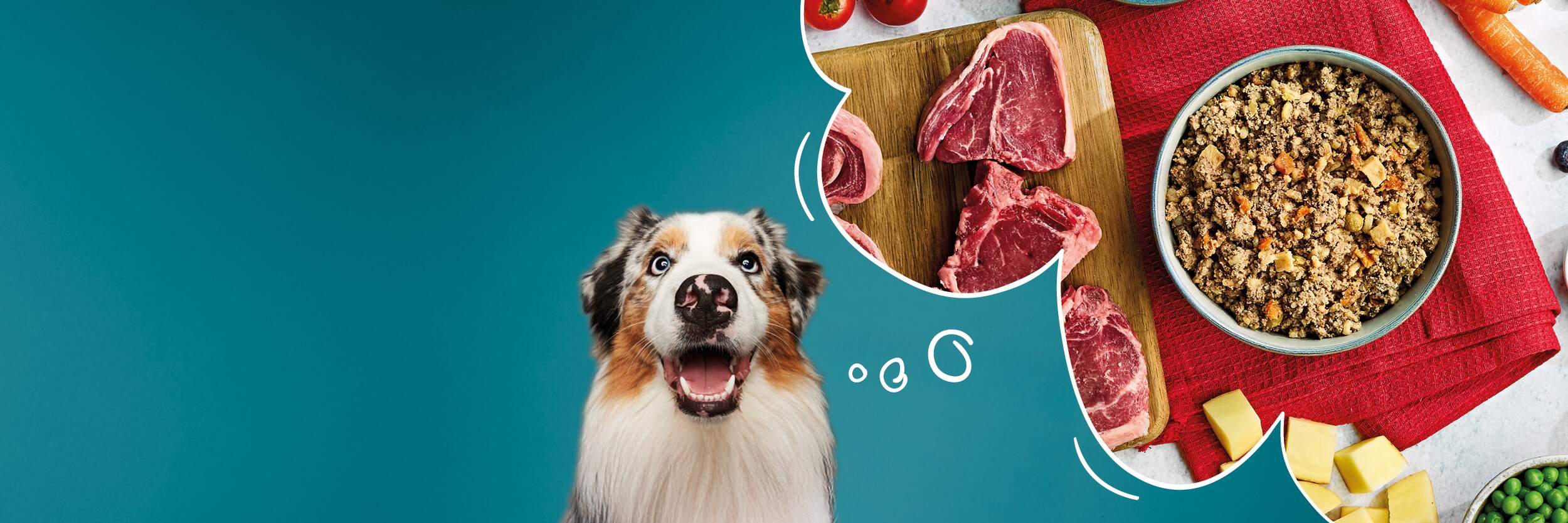 Human-Grade Ingredients for Superior Natural Dog Food