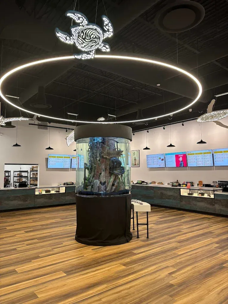 Shipwreck'd: Your Premier Choice for Cannabis in NJ