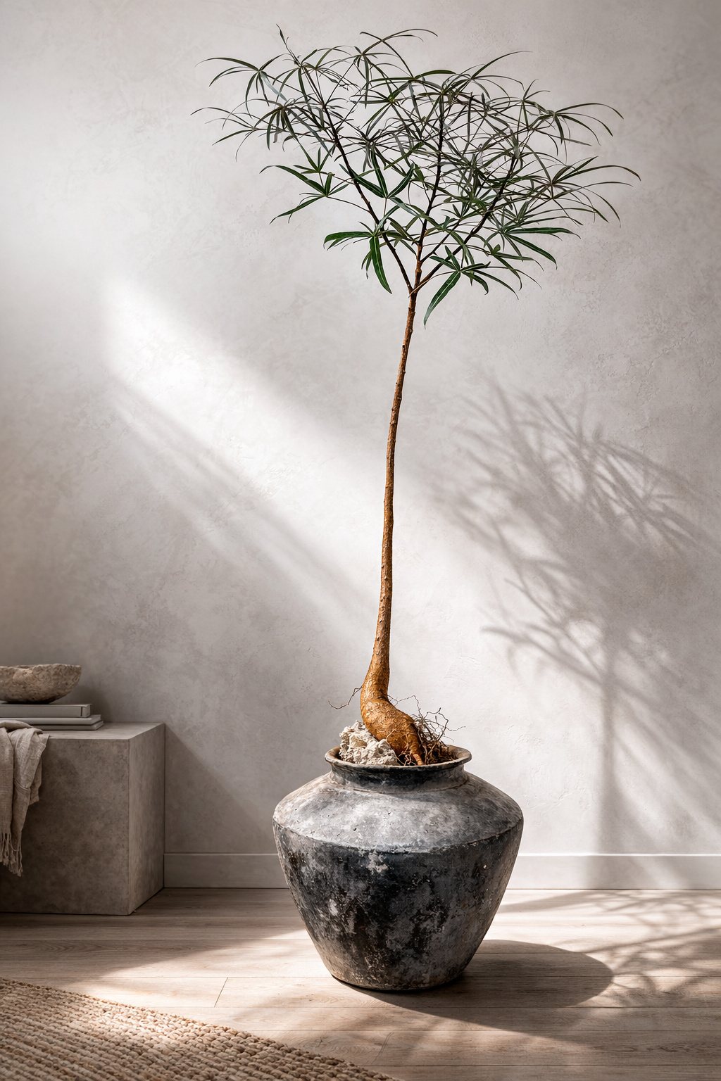 Transforming Environments with Elegant Interior Plantscaping