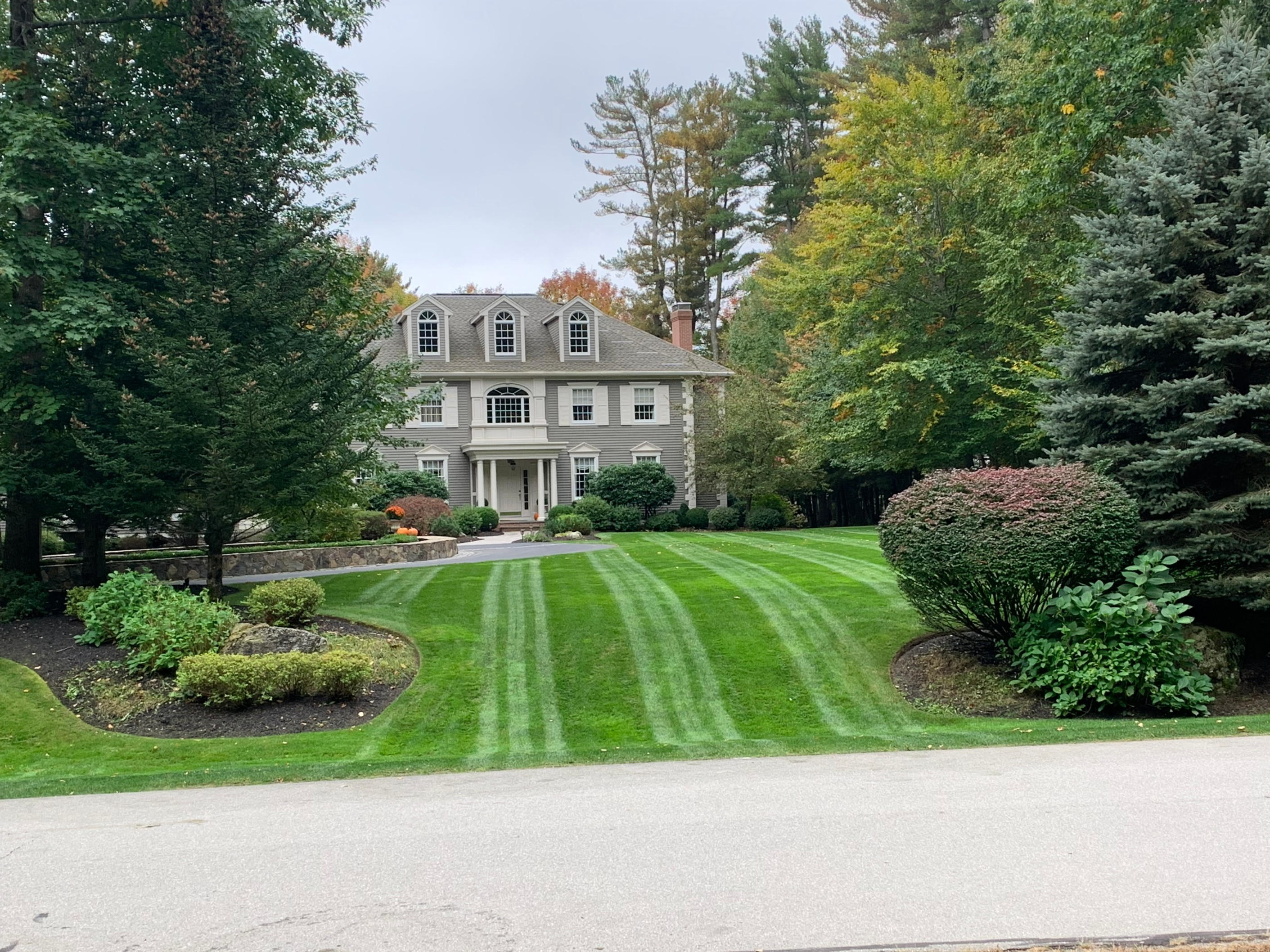 Tailored Lawn Care Strategies