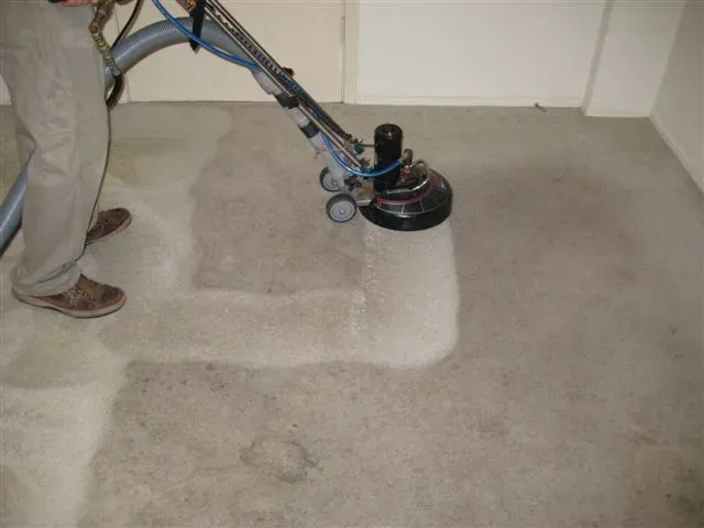 Expert Carpet Cleaning Services