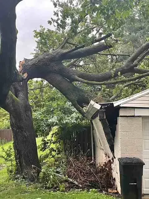 Family inspecting storm damage with safety gear, emphasizing immediate actions for recovery