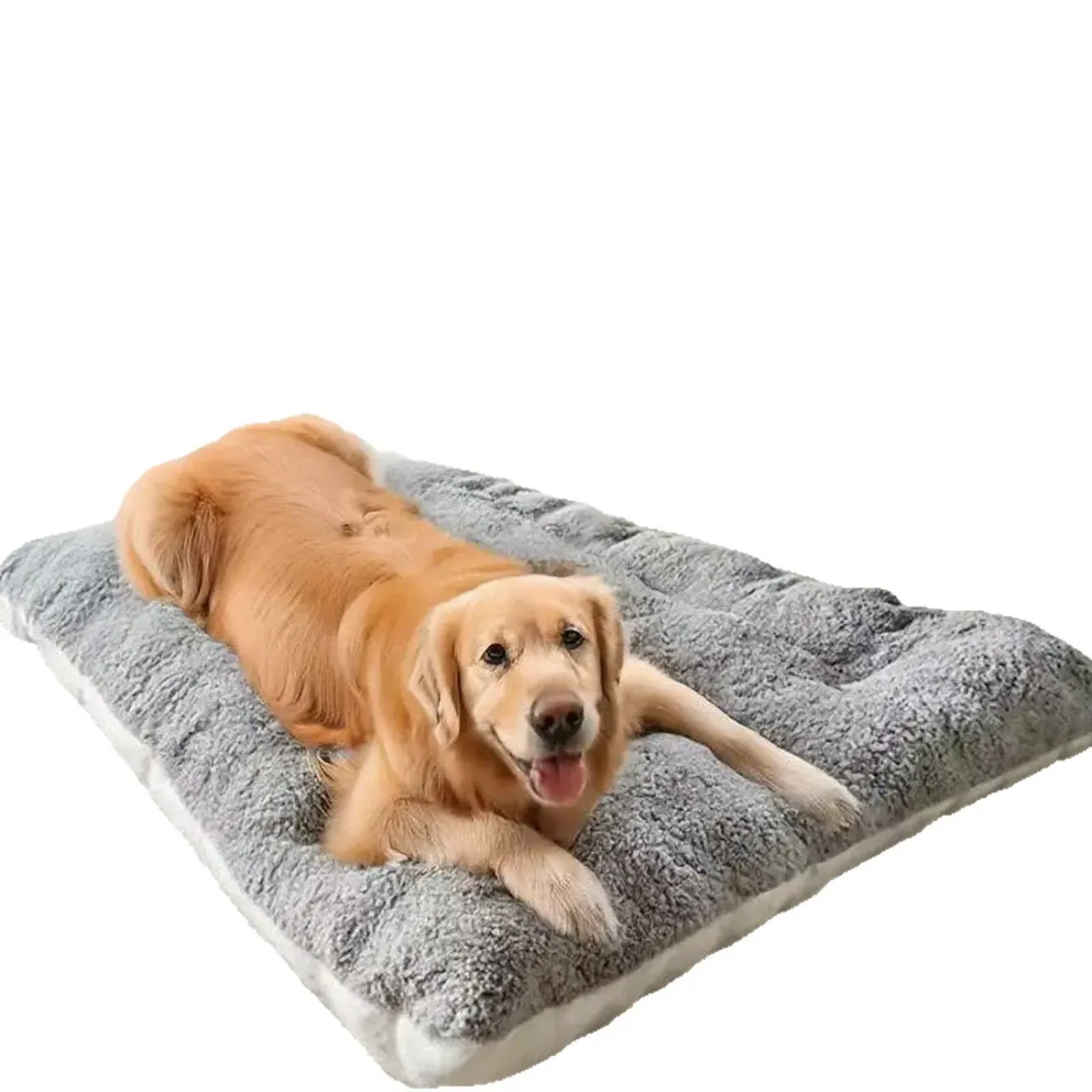 Relaxed dog in a Thunder Shirt exuding comfort and calmness in a cozy environment