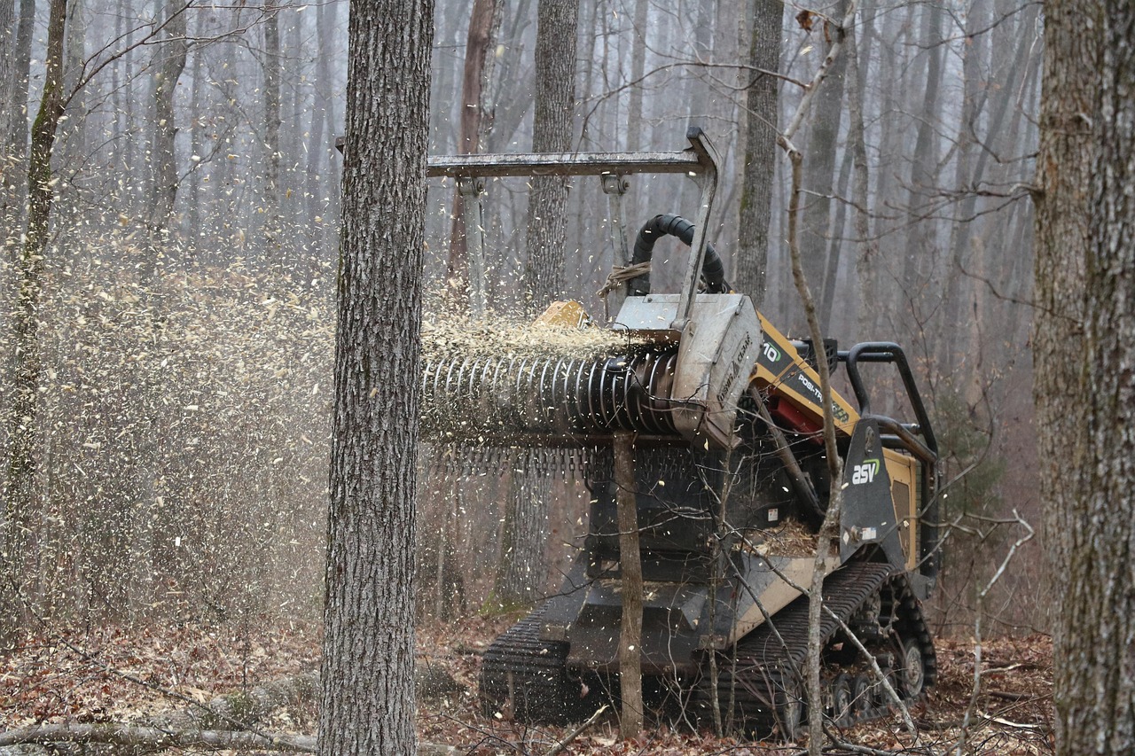 Discover Options for Purchasing Mulcher Teeth with Free Shipping