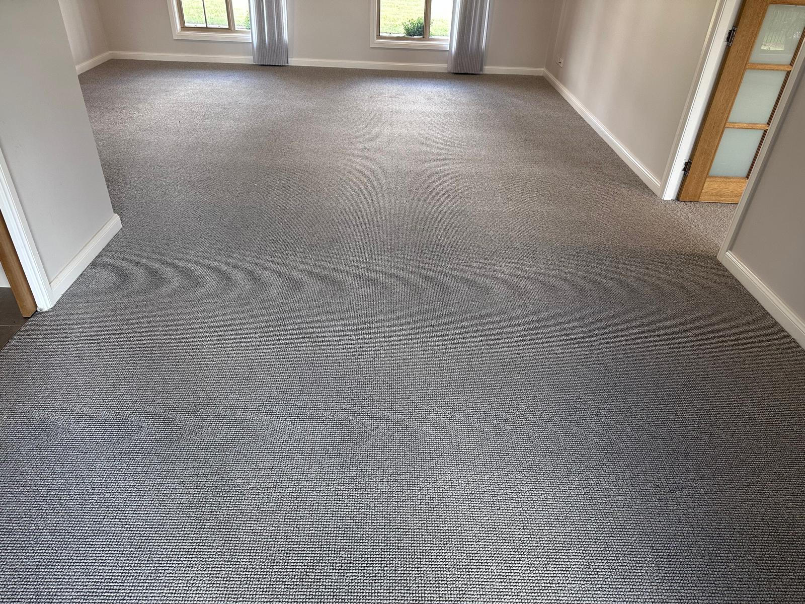 Carpet Flooring Expert