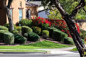 Outdoor Living Enhancements