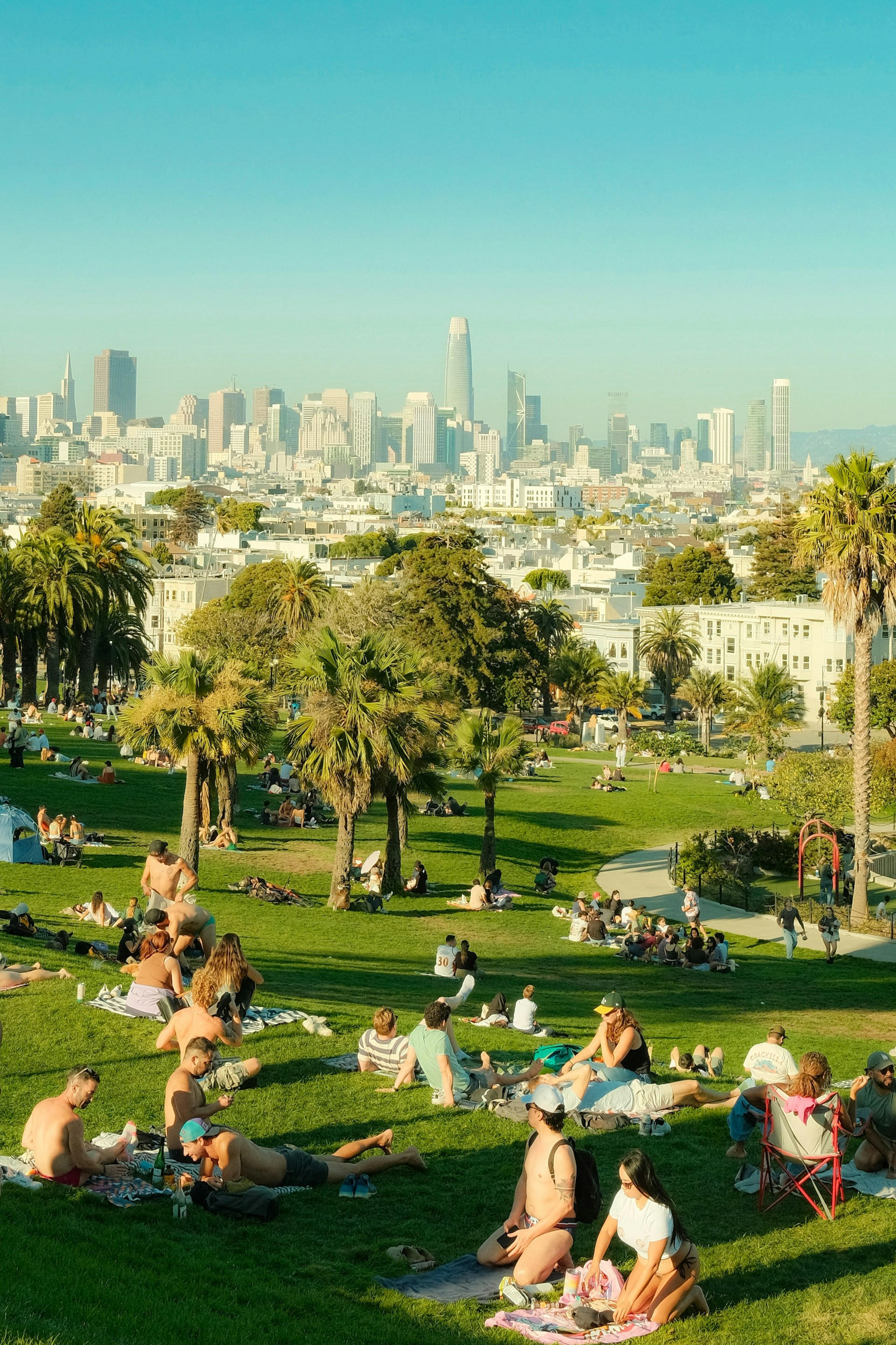 People relaxing in a San Francisco park with the skyline behind