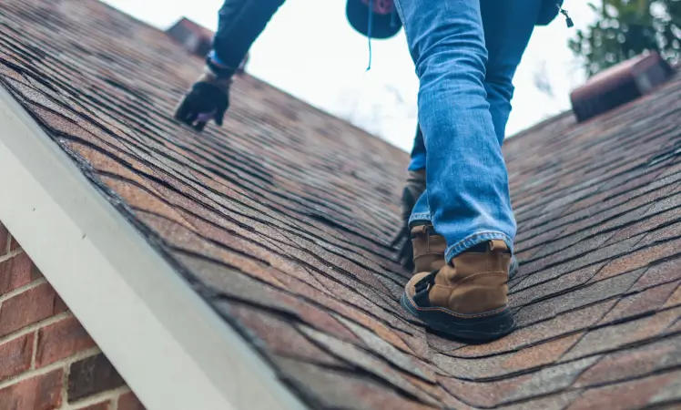 Accurate Shingle Matching and Full Structural Restoration