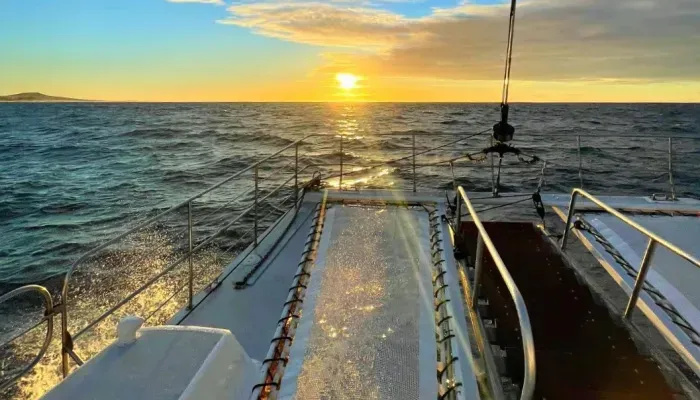 Kealakekua Bay: An Underwater World Unlike Any Other in Hawaii