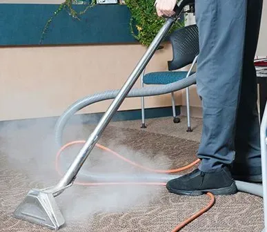 Green Cleaning Solutions Safe for Every Member of Your Household