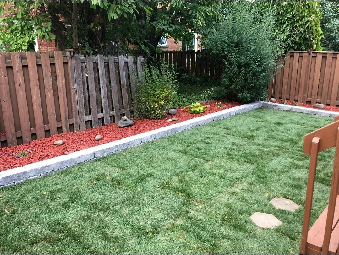 Continuous Lawn Care to Maintain Aesthetic Appeal