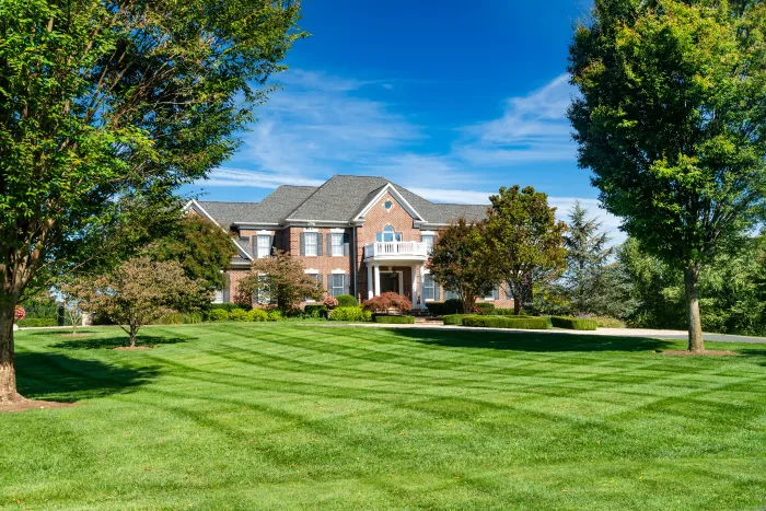 Lawn freshly mowed