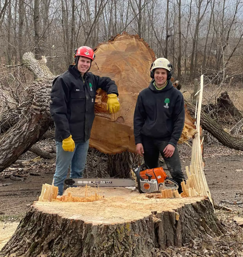 Professional Tree Care Solutions in Mid-Michigan