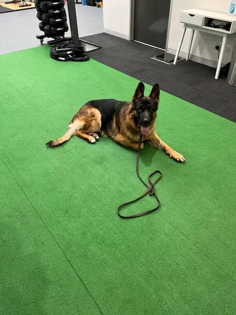 Our Approach to Training