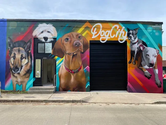 Dogcity West Seattle - service preview