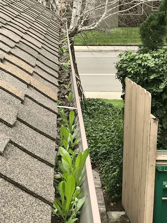 Lodi's Trusted Choice for Residential Exterior Cleaning